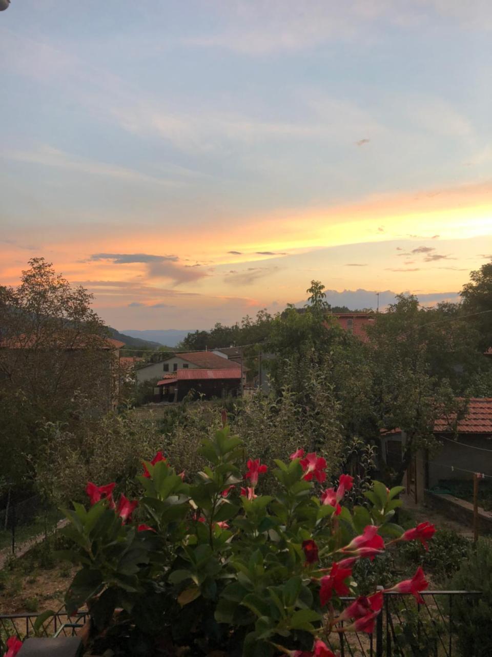 Albergo Ristorante Letizia คิวซี เดลลา แวร์นา ภายนอก รูปภาพ